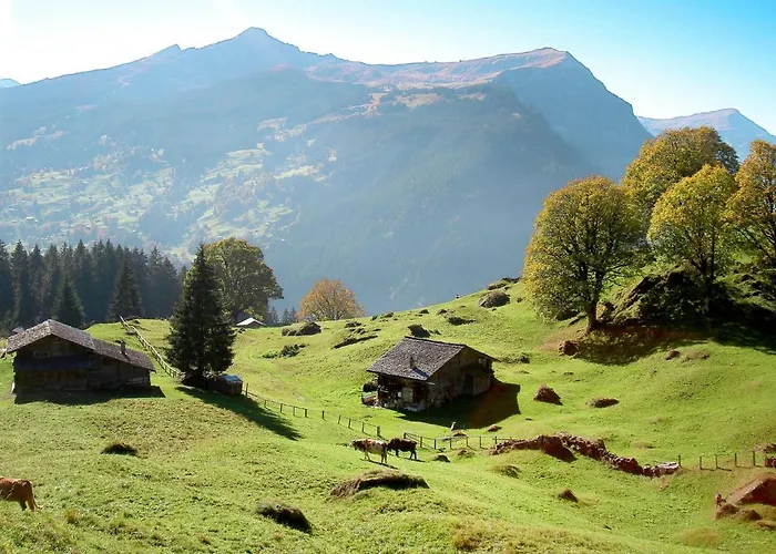 Abendrot Apartments-27 By Interhome Lejlighed