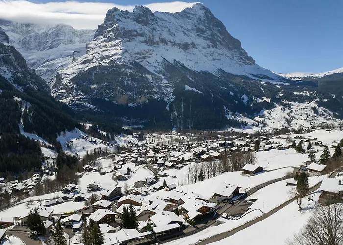 Abendrot Apartments-27 By Interhome Apartamento Grindelwald